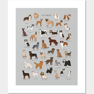 Canine Companions: Illustrated Dog Breed Showcase Posters and Art